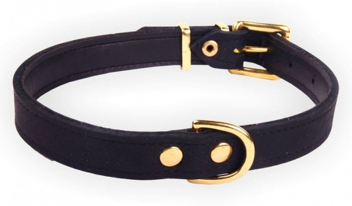 Dog's Companion - Leren Halsband - 44-56 cm x 25 mm - Zwart - Exclusive Gold