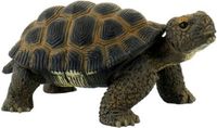 Bullyland 63553 – Speelfiguur en verzamelfiguur Schildpad – ca. 5 cm – levensecht en detailrijk vormgegeven – ideaal als educatief speelfiguur, taartdecoratie of klein cadeautje voor kinderen vanaf 3 jaar.