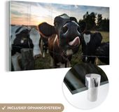 MuchoWow® Glass Painting 80x40 cm - Acrylic Glass Painting - Cow - Animals - Nature - Tongue Out - Photo on Glass - Paintings