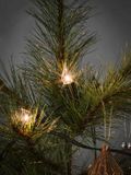 Konstsmide 1027 - Kerstboomverlichting - 20 vlamlampjes - 475 cm - Warm wit licht