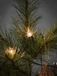 Konstsmide 1027 - Kerstboomverlichting - 20 vlamlampjes - 475 cm - Warm wit licht