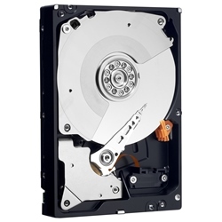 Western Digital Black