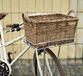 Basil Portland Rotan Achter Fietsmand - 36L - Bruin