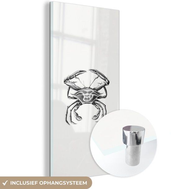 MuchoWow® Glass Painting 40x80 cm - Acrylic Glass Painting - Ernst Haeckel - Vintage - Art - Crab - Photo on Glass - Paintings