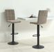 Prolenta Maison Exclusive - Lot de 2 tabourets de bar en velours gris clair