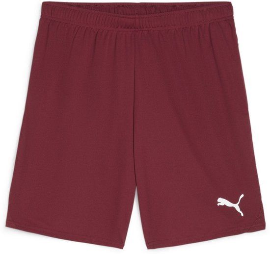 Puma TeamGoal Shorts XXL
