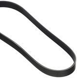 DAYCO 6PK800 V-riem accessoires