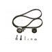 Bosch Kit de courroie crantée 1 987 946 676 Alfa Romeo