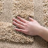 Safavieh Florida Shag SG454 hoogpolig tapijt, rechthoekig, 122 x 183 cm, beige / beige