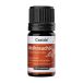 Casida Huile d'encens naturelle 5 ml