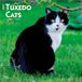 Tuxedo BrownTrout Publishers Tuxedo Cats - Tuxedo Katzen 2027 - 16-Monatskalender
