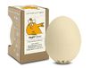 Brainstream Piepei - Eierwekker - Classic - Beige