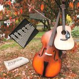 It's Tree People - It's My Story (CD)