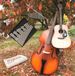 It's Tree People - It's My Story (CD)