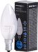 Patron E14 Kaars Gloeilamp | 60W 2700K 510Lm Mat | Dimbaar