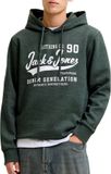 JACK & JONES JJELOGO SWEAT HOOD 2 COL AW26 SN Heren Sweatshirt Scarab XXL