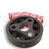 febi bilstein 10171 Trillingsstijlger voor cardanas