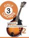 Only Libri GmbH Only 3 Chords - Mandolin - 25 Traditionals & Folk Songs - 2