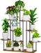 Unyqoos® Étagère à plantes multifonctionnelle à 11 niveaux pour intérieur et extérieur – Bois et Métal, design décoratif