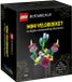 LEGO Botanicals Mini-veldboeket Bouwset
