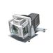 Vivitek 5811117576-SVV Projectielamp