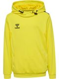 Hummel Kinder sweatshirt met capuchon Hmlauthentic