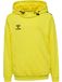Hummel Kinder sweatshirt met capuchon Hmlauthentic