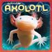 Adorable Brown Trout Adorable Axolotl 2027 12 X 24 Inch (Hanging) Monthly Square Wall Calendar Plastic-Free