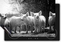 Chefcare Inductie Beschermer Groep Jonge Varkens - Zwart Wit - 95x55 cm