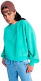 Roxy Chill Story Fleece Dames XS Katydid Polyester Waterdicht