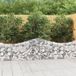 Maison Exclusive - Geknoopte gaasbakken, 8 stuks, 200x30x60/80 cm, verzinkt staal