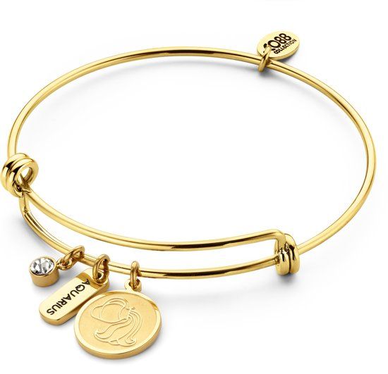 CO88 Collection Horoscope 8CB 90280 Stalen Bangle met Hangers - Sterrenbeeld Waterman - One-size - Goudkleurig
