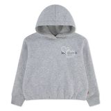 Levi's Kids hoodie - grijs