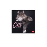 Legami Wandkalender 2027, katten, kleine wandkalender, 12 maanden en jaarplanner, in 6 talen, ruimte voor notities, sterrenbeelden, internationale feestdagen, 18 x 18 cm