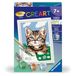 Ravensburger CreArt Kids 8x12 cm Bruin katje Verfset per nummer Vanaf 9 jaar 25997