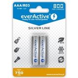 Everactive Pack de 2 batteries Téléphone fixe compatible avec SIEMENS GIGA