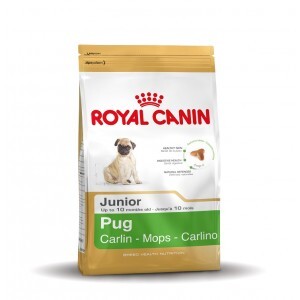 Royal Canin Breed Junior Pug mopshond hondenvoer 1