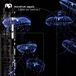 Deep Wtii Records Deep sea creatures