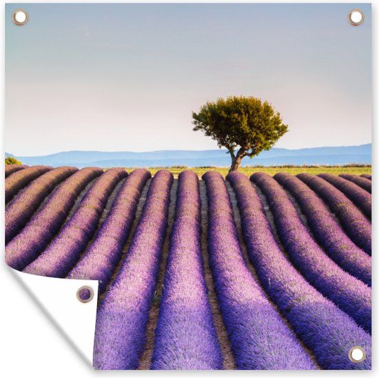 GreatGardenPosters Tuin poster Frankrijk Lavendel Boom 200x200 cm - Buitenposter - Landelijk - PVC