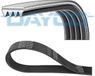 DAYCO Courroie accessoire 4PK736