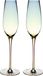 Intirilife 2x Champagneglas met Regenboog Glinstering en Golvende Vorm - 200 ml