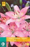 Jub Lilium roze bloembollen 2 bollen Lelie JUB