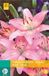 Jub Lilium roze bloembollen 2 bollen Lelie JUB