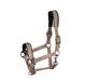 Cavallo Cavalrose Licol Latte Horsefashion HW 26 : GP
