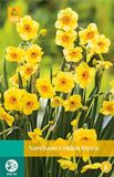 Jub Narcissus Golden Dawn bloembollen 5 bollen Narcis JUB
