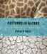 Patterns The University of Chicago Press Patterns in Nature