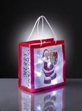 Hellum 570953 decoratieve verlichting 10 gloeilampen LED rood