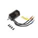 Spektrum SPMXAM2200 BL Outrunner motor: 2847-2400Kv 6-polie, multi
