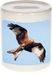 Rode Wouw Photo Piggy bank 9 cm