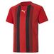 Puma Kinder Sportshirt Team Liga Striped